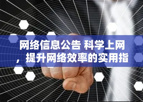 网络信息公告 科学上网，提升网络效率的实用指南