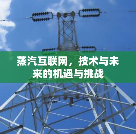 蒸汽互联网，技术与未来的机遇与挑战