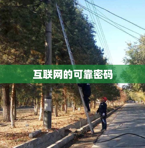 互联网的可靠密码