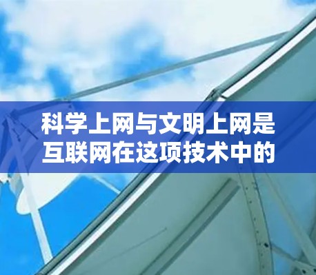 科学上网与文明上网是互联网在这项技术中的两大核心价值，它们相互依存，共同推动社会进步与和谐发展