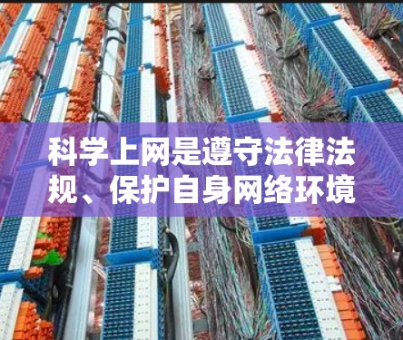 科学上网是遵守法律法规、保护自身网络环境的重要步骤。以下是一个有条理的指南，帮助您科学上网