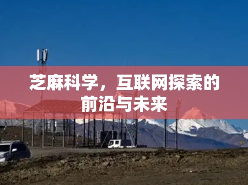芝麻科学，互联网探索的前沿与未来