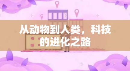 从动物到人类，科技的进化之路