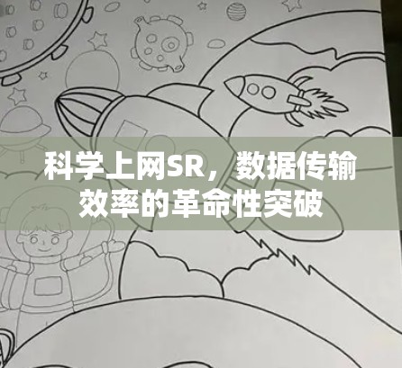 科学上网SR，数据传输效率的革命性突破