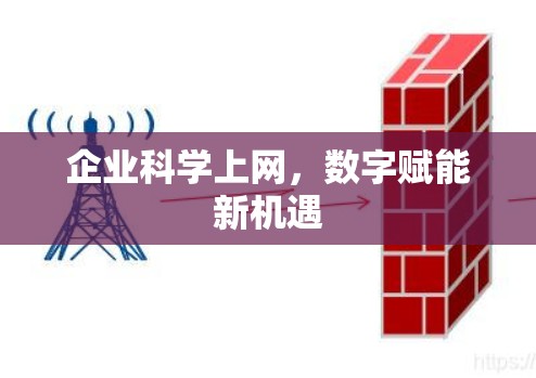 企业科学上网，数字赋能新机遇
