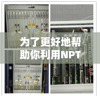 为了更好地帮助你利用NPT服务，以下是一些详细的步骤和建议