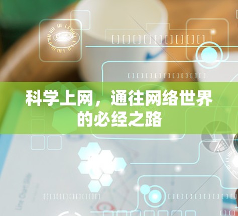 科学上网，通往网络世界的必经之路