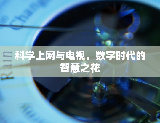 科学上网与电视，数字时代的智慧之花