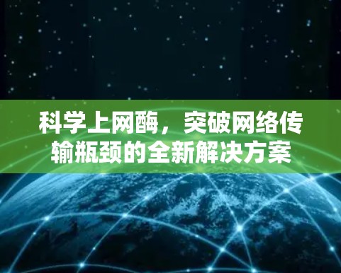 科学上网酶，突破网络传输瓶颈的全新解决方案