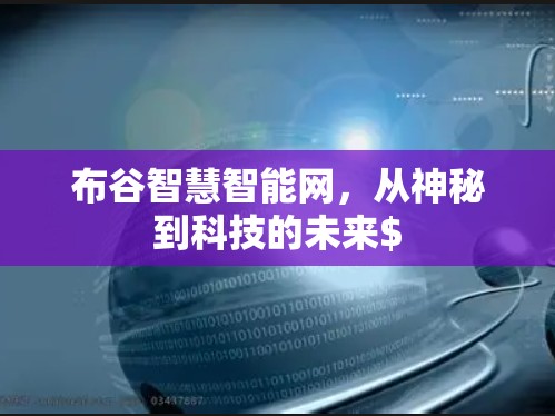布谷智慧智能网，从神秘到科技的未来$
