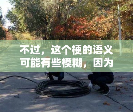 不过，这个梗的语义可能有些模糊，因为科学上网和壁虎漫步之间可能存在一定的误解。如果有什么具体的问题或需要更深入的解释，请告诉我！