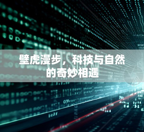 壁虎漫步，科技与自然的奇妙相遇