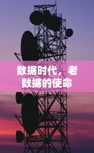 数据时代，老数据的使命