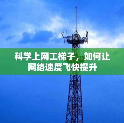科学上网工梯子，如何让网络速度飞快提升