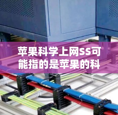 苹果科学上网SS可能指的是苹果的科学计算和存储服务，具体含义可能因上下文而异。以下是一些可能的解释