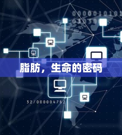 脂肪，生命的密码