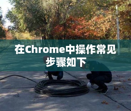 在Chrome中操作常见步骤如下
