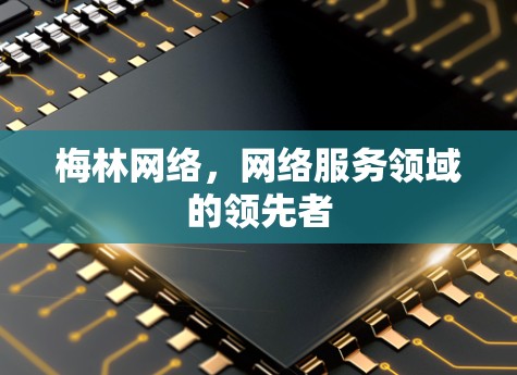 梅林网络，网络服务领域的领先者