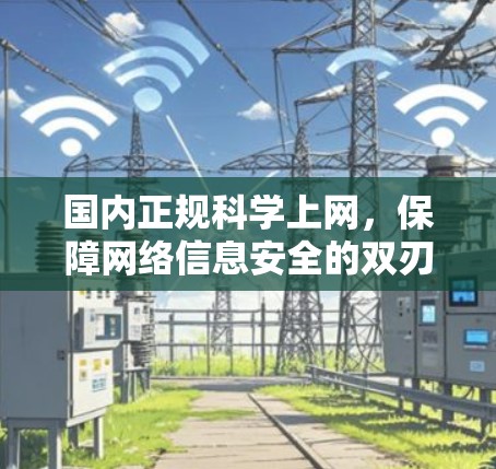 国内正规科学上网，保障网络信息安全的双刃剑