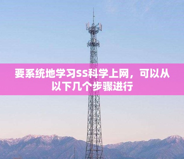 要系统地学习SS科学上网，可以从以下几个步骤进行