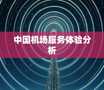 中国机场服务体验分析