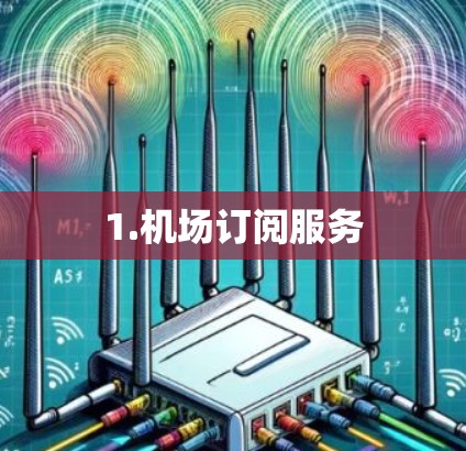 1.机场订阅服务