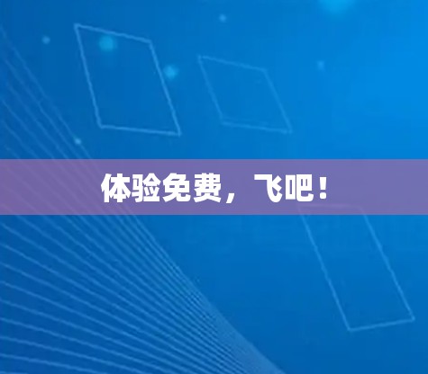 体验免费，飞吧！