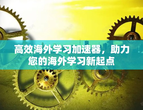 高效海外学习加速器，助力您的海外学习新起点