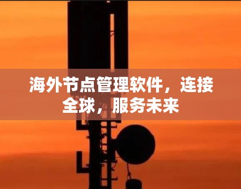 海外节点管理软件，连接全球，服务未来