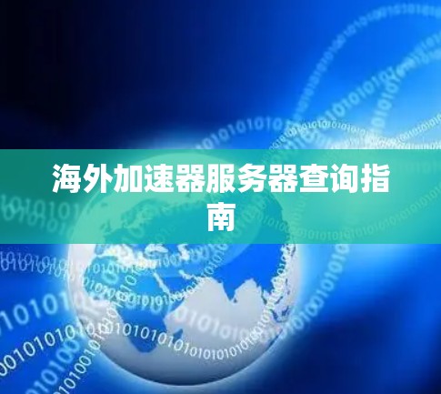 海外加速器服务器查询指南
