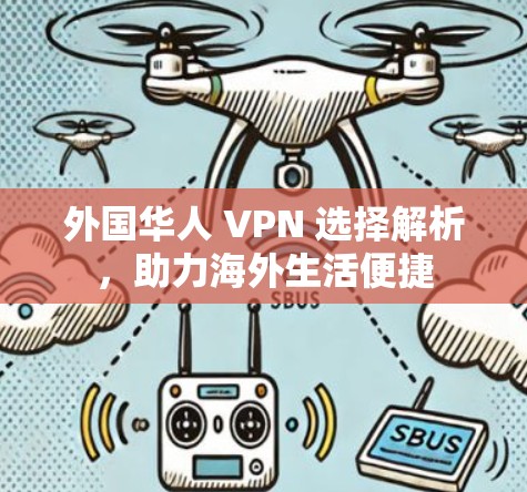 外国华人 VPN 选择解析，助力海外生活便捷