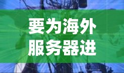 要为海外服务器进行优化，您可以按照以下步骤进行系统学习和实践