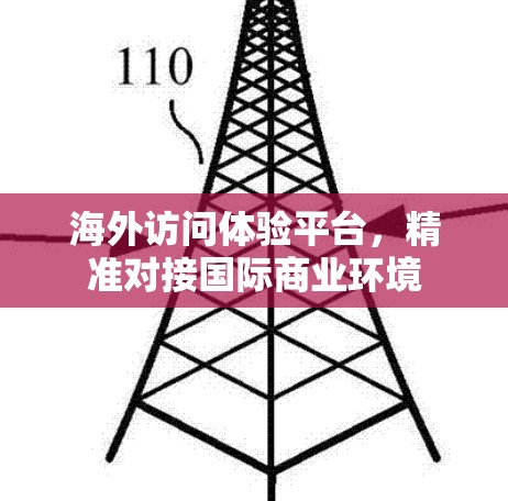 海外访问体验平台，精准对接国际商业环境