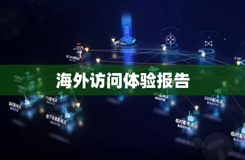 海外访问体验报告