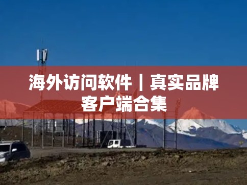 海外访问软件｜真实品牌客户端合集