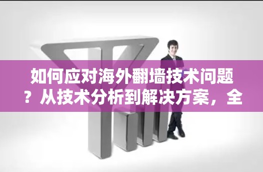 如何应对海外翻墙技术问题？从技术分析到解决方案，全面解析