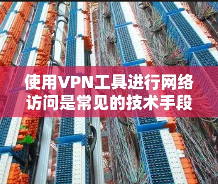 使用VPN工具进行网络访问是常见的技术手段，但需要注意安全和合规性。以下是一些常用的海外VPN工具