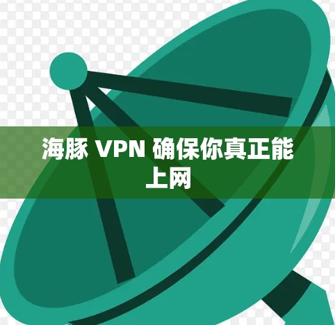 海豚 VPN 确保你真正能上网