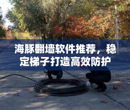 海豚翻墙软件推荐，稳定梯子打造高效防护
