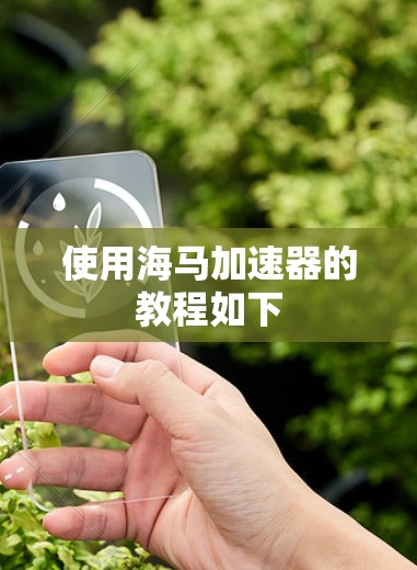 使用海马加速器的教程如下