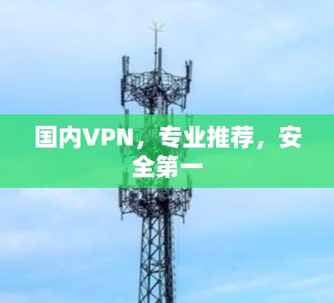 国内VPN，专业推荐，安全第一
