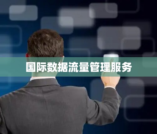 国际数据流量管理服务