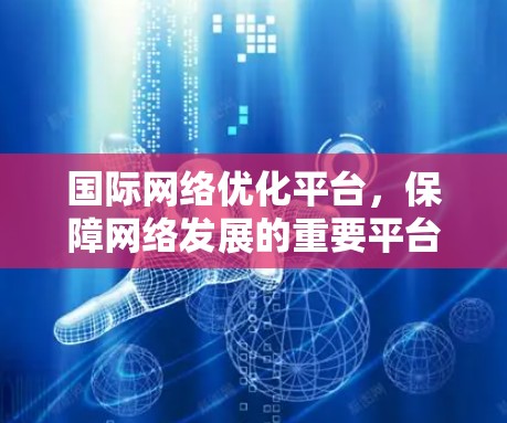国际网络优化平台，保障网络发展的重要平台