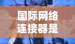 国际网络连接器是连接到国际网络设备的工具，广泛应用于朋友在国际网络环境中使用。以下是对国际网络连接器的详细介绍和推荐