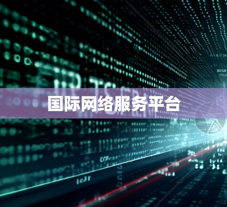 国际网络服务平台