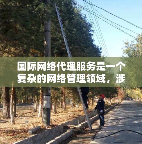 国际网络代理服务是一个复杂的网络管理领域，涉及多个技术细节和专业知识。以下是对该主题的分步总结