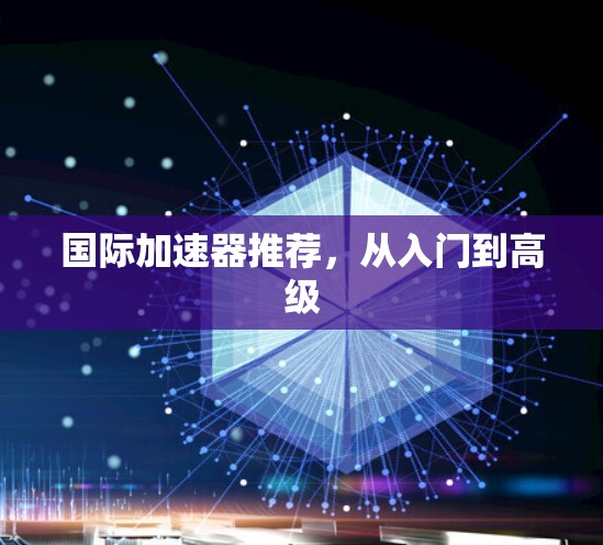 国际加速器推荐，从入门到高级