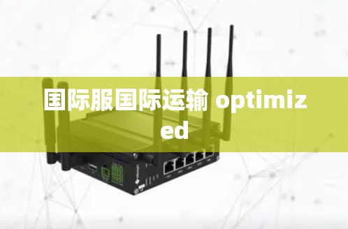 国际服国际运输 optimized