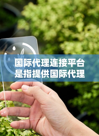 国际代理连接平台是指提供国际代理服务的连接平台，旨在帮助企业在全球范围内进行广告和销售活动。以下是对这些平台的详细总结