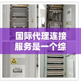 国际代理连接服务是一个综合性的管理工具，旨在帮助公司有效协调和管理国际代理之间的联系，确保业务顺利进行。以下是对该服务的详细分析